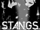 The Stangs' American Sessions
