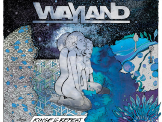 Wayland's Rinse & Repeat