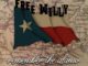 Free Willy’s Remember The Alamo