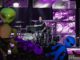 Blink-182 At Jiffy Lube Live, Bristow, VA 7-11-2019