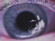 Grey Daze (Chester Bennington) Release "What's In The Eye" Single ​   　 
