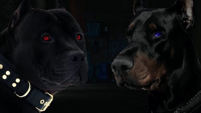 DMX VS SNOOP DOGG in Verzuz Battle July 22nd