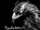 Buckcherry Announce June 25 Release Date For "Hellbound"