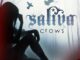 Saliva Reaches Top 30 at Radio with "Crows" and Releases Official Music Video for the Single; Announces More Tour Dates!