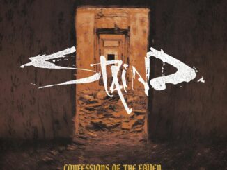 Staind's Confession of the Fallen