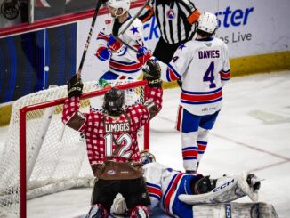 Limoges Lifts Bears to 2-1 OT Win Over Amerks