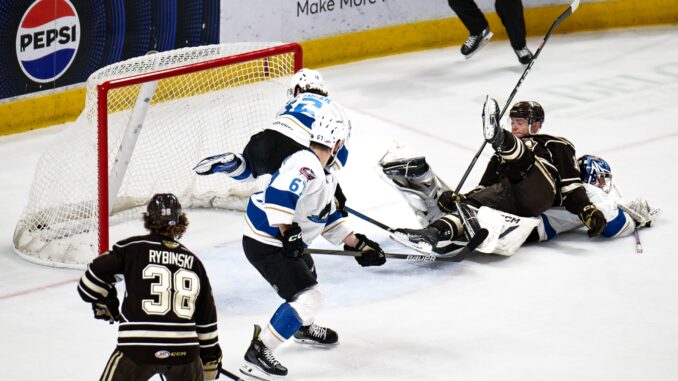 Roe's OT Goal Puts Bears in Calder Cup Finals