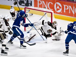 Bears Bested by Marlies, 7-3