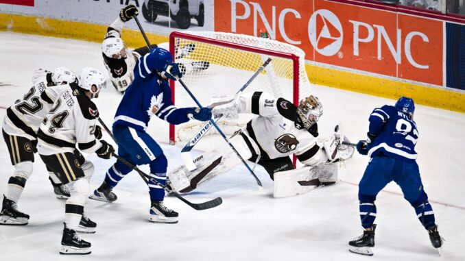 Bears Bested by Marlies, 7-3