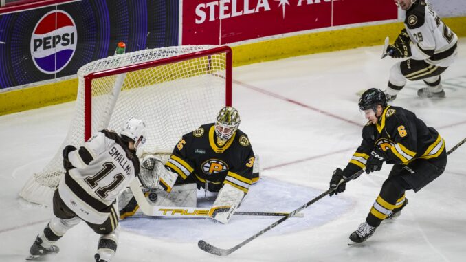 Sgarbossa, Smallman Power Bears to 5-1 Teddy Bear Toss Win Over Bruins